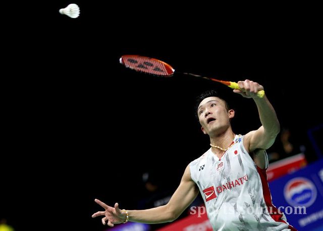 仅展示了西 仅展示了西